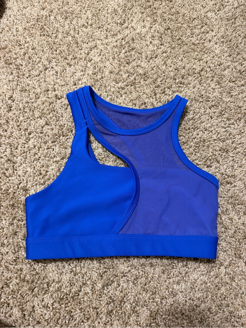 Alo Blue Mesh Panel Sports Bra